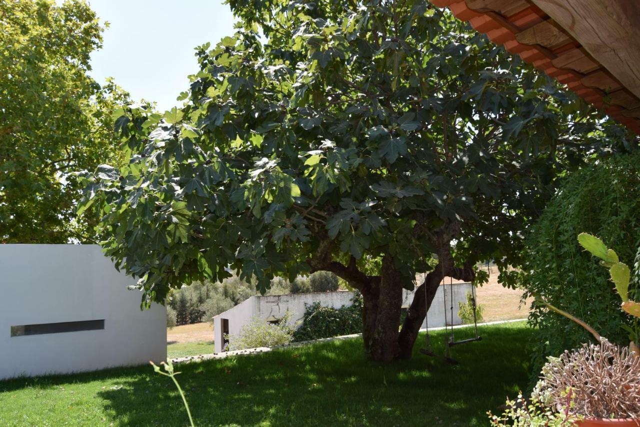 Quinta Da Aurora Βίλα Έβορα Εξωτερικό φωτογραφία